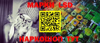 крисы Кунгур