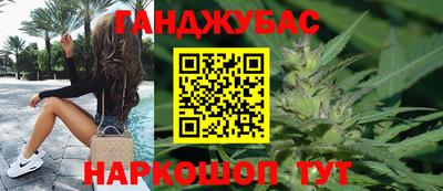 крисы Кунгур
